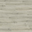 Ламинат Haro Daily Edition 8 mm 541344 Дуб Бреда Светло-Серый  | FLOORDEALER